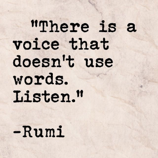 Blog_Voice-doesnt-use-words_Rumi_320