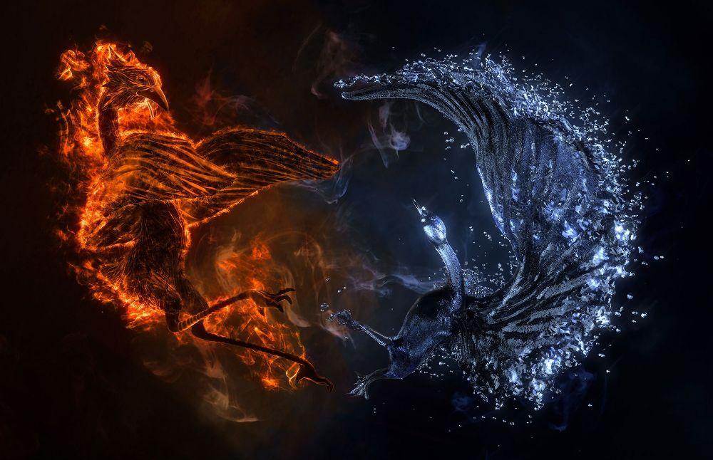 Blog_Waarom_mediteren_202305_3_crop-1000x646