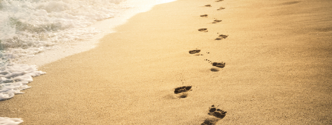 Traumasporen_Blog_Dimphy-vanAlpen_Sporen_663x250