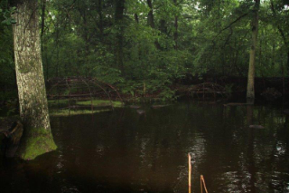 Zweethut is overstroomd 320.png